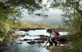 near Minyon Falls, Nightcap National Park