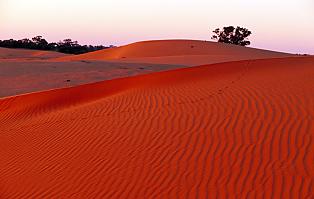 Mungo National Park